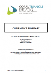 SOM 13 - Chairman&#039;s Summary