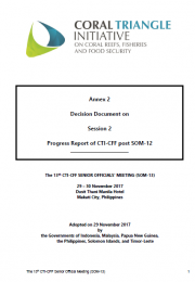 SOM 13 - Session 02 - Progress Report of CTI-CFF post SOM-12