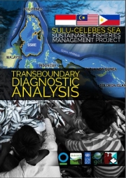 Transboundary Diagnostic Analysis